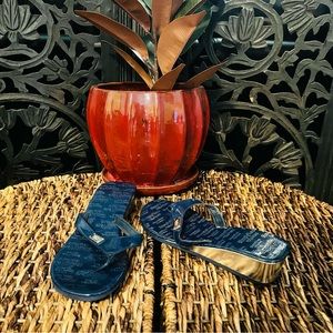 Simply Vera Wang Navy Blue Thong Wedge Sandals